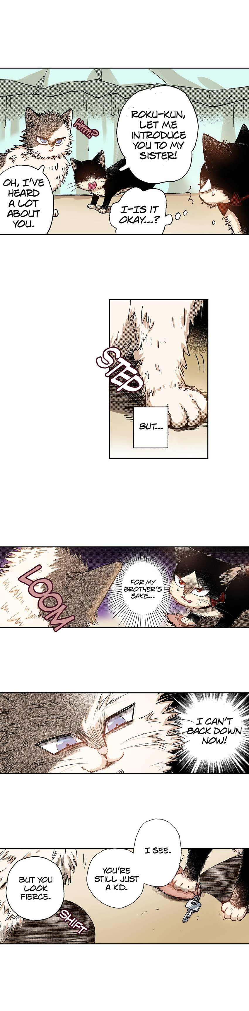 Read My Roommate is a Cat chapter 31 image 1 on Lezhin