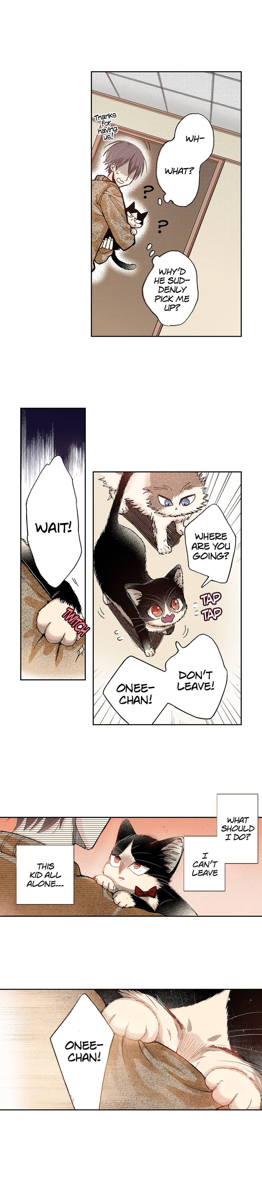 Read My Roommate is a Cat chapter 31 image 10 on Lezhin