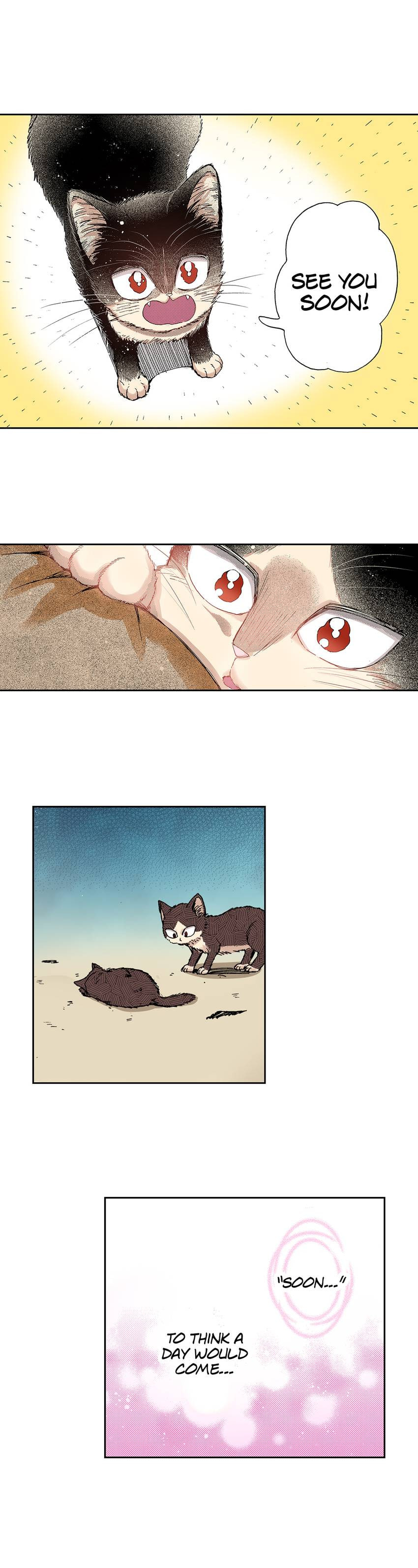 Read My Roommate is a Cat chapter 31 image 11 on Lezhin