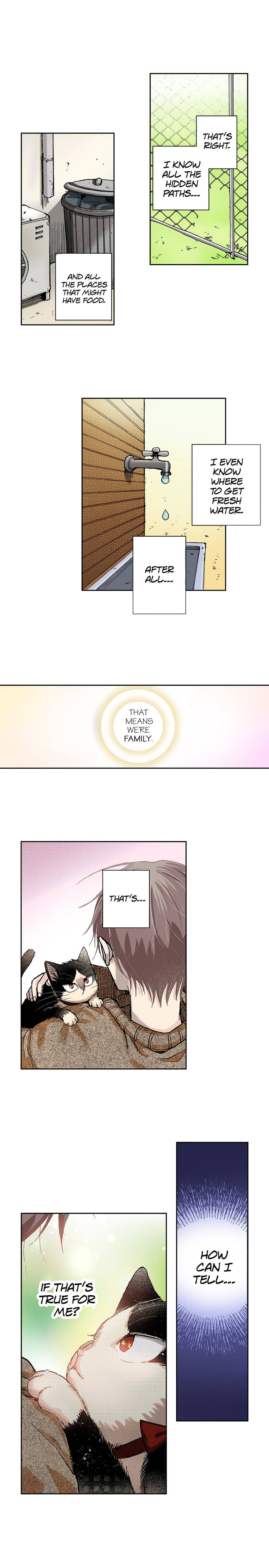Read My Roommate is a Cat chapter 31 image 13 on Lezhin