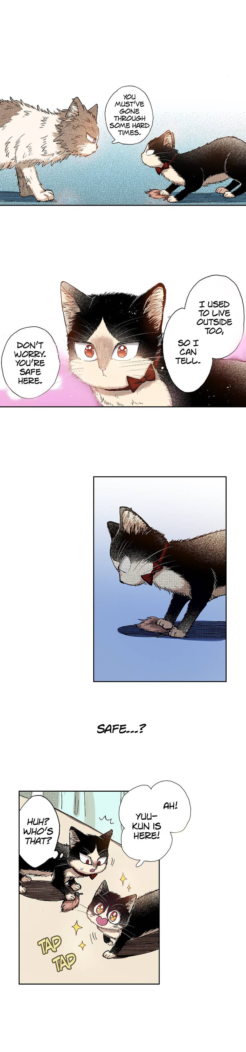 Read My Roommate is a Cat chapter 31 image 2 on Lezhin