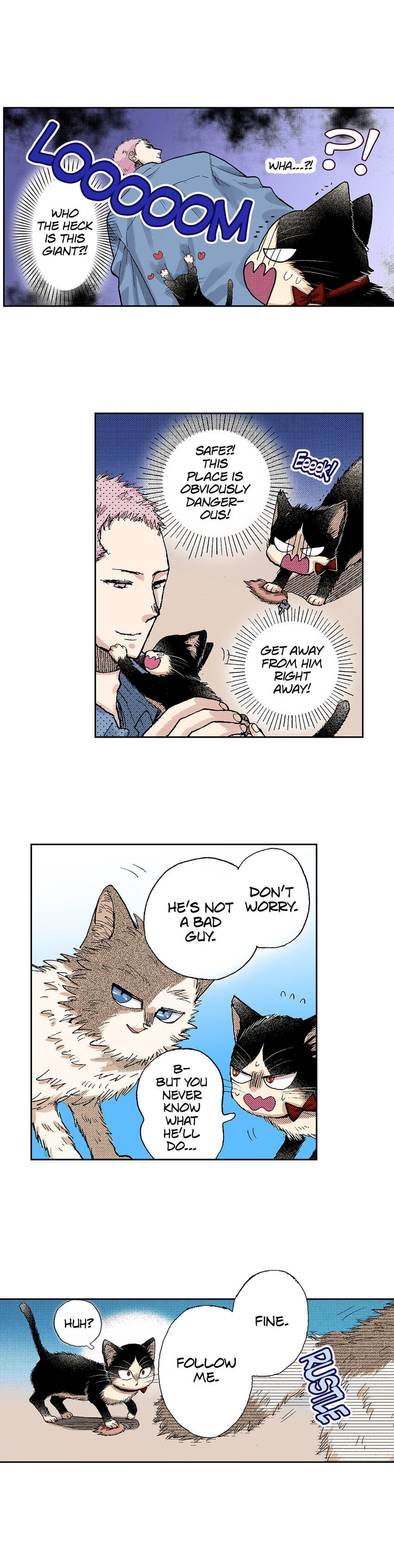 Read My Roommate is a Cat chapter 31 image 3 on Lezhin