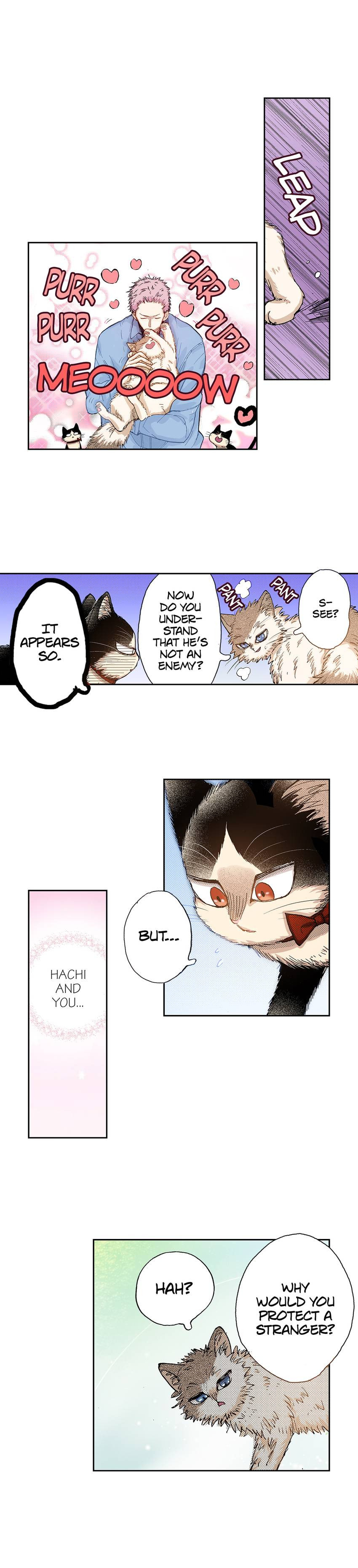 Read My Roommate is a Cat chapter 31 image 5 on Lezhin