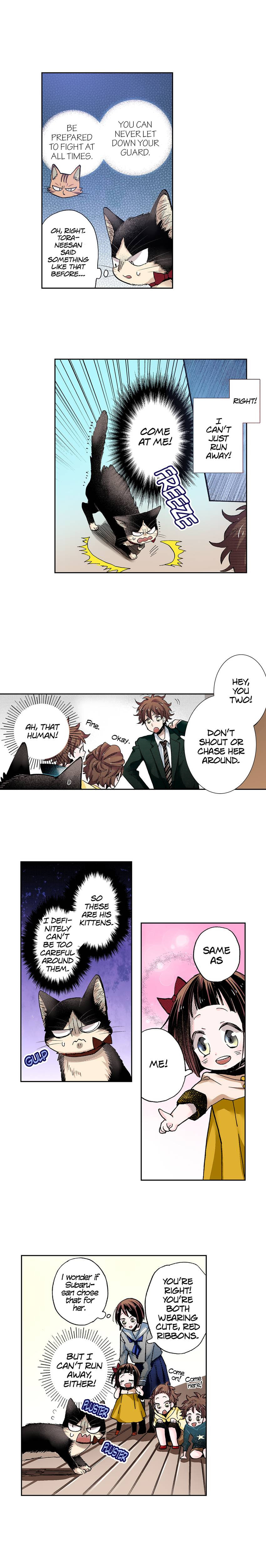 Read My Roommate is a Cat chapter 34 image 1 on Lezhin