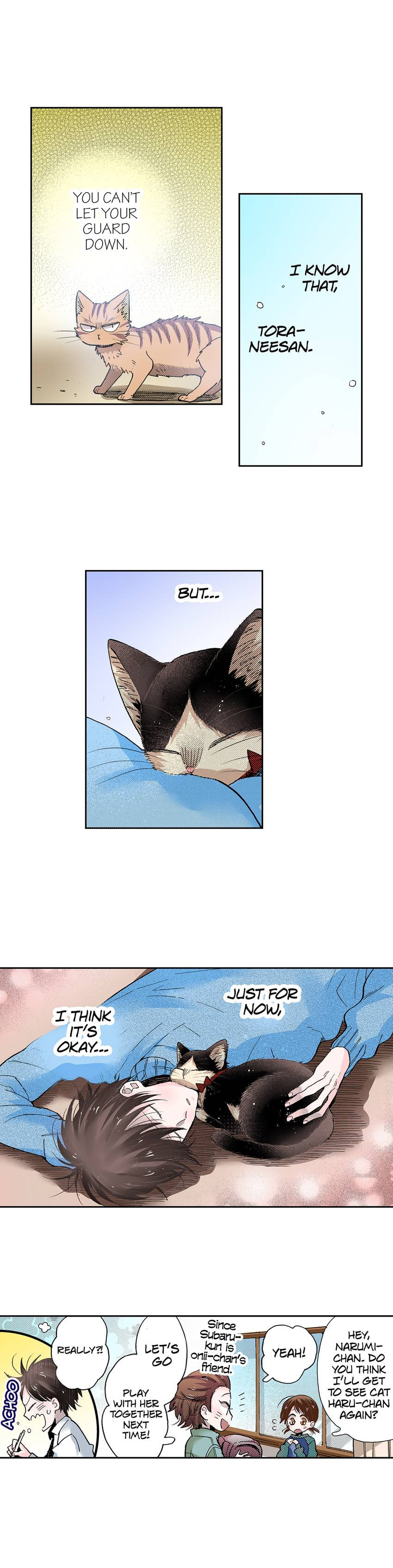 Read My Roommate is a Cat chapter 34 image 11 on Lezhin