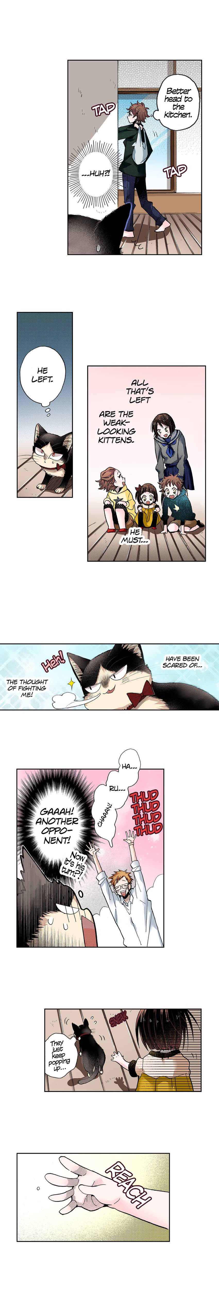 Read My Roommate is a Cat chapter 34 image 2 on Lezhin