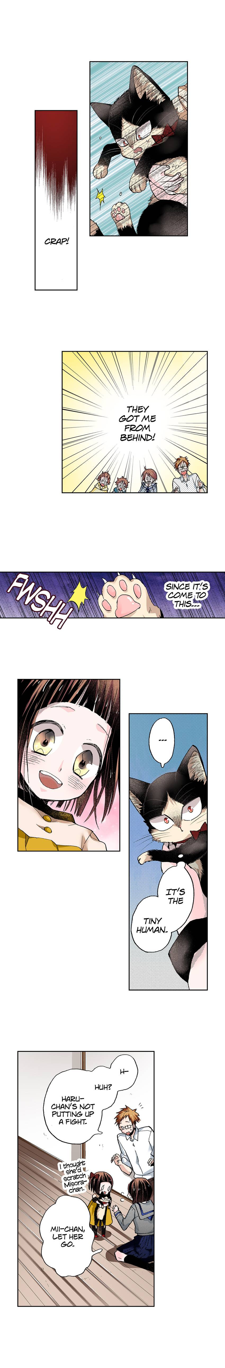 Read My Roommate is a Cat chapter 34 image 3 on Lezhin