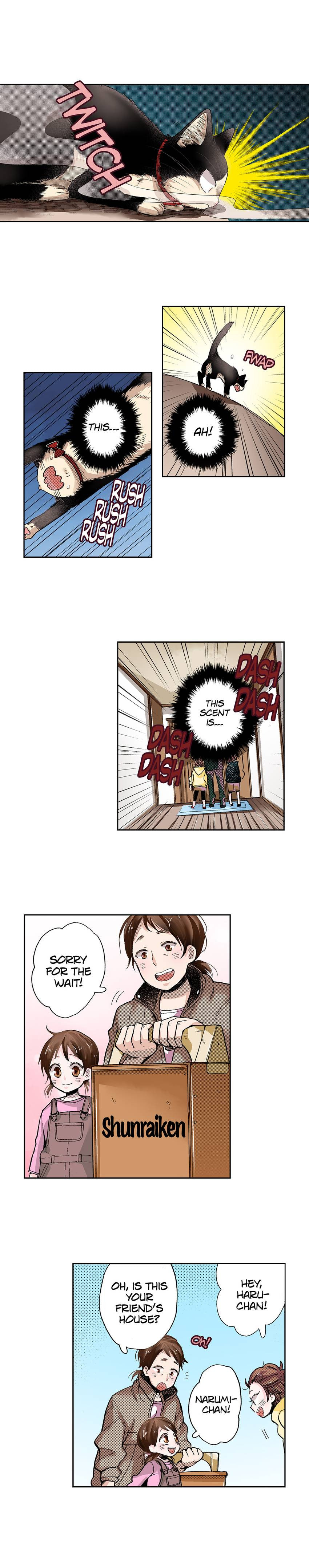 Read My Roommate is a Cat chapter 34 image 6 on Lezhin