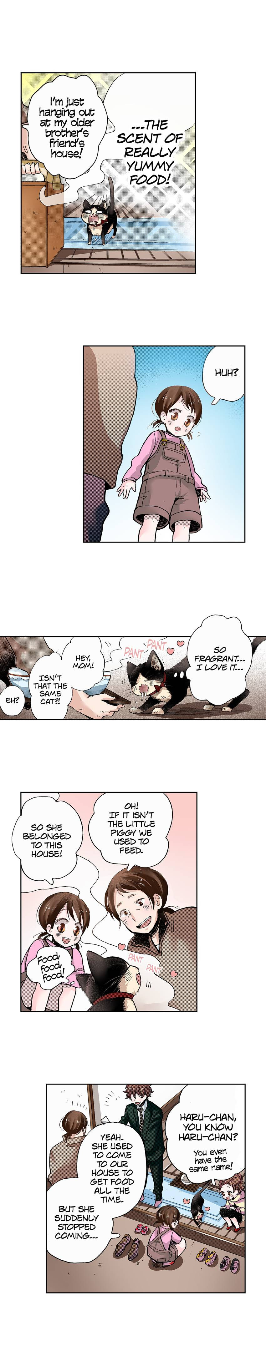 Read My Roommate is a Cat chapter 34 image 7 on Lezhin
