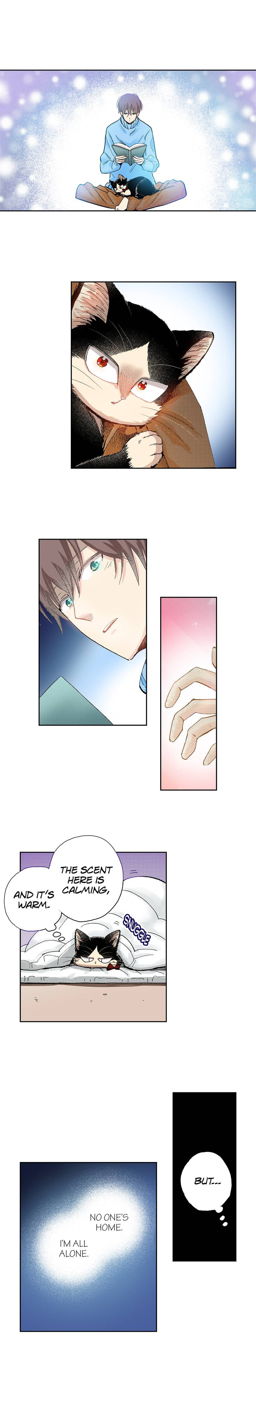 Read My Roommate is a Cat chapter 35 image 11 on Lezhin