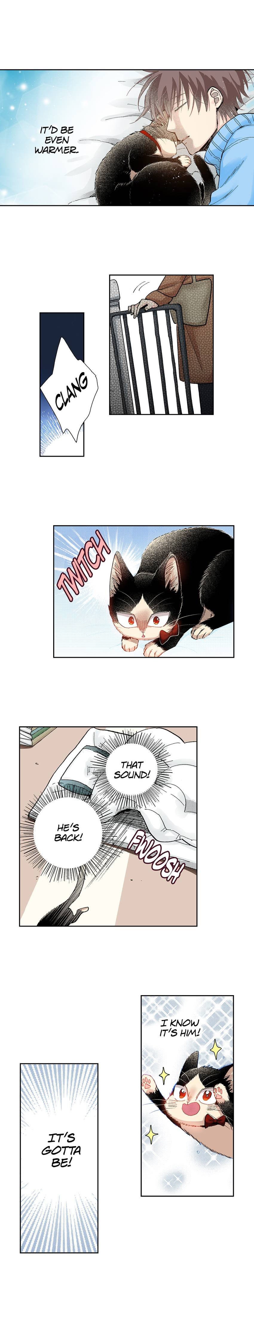 Read My Roommate is a Cat chapter 35 image 14 on Lezhin