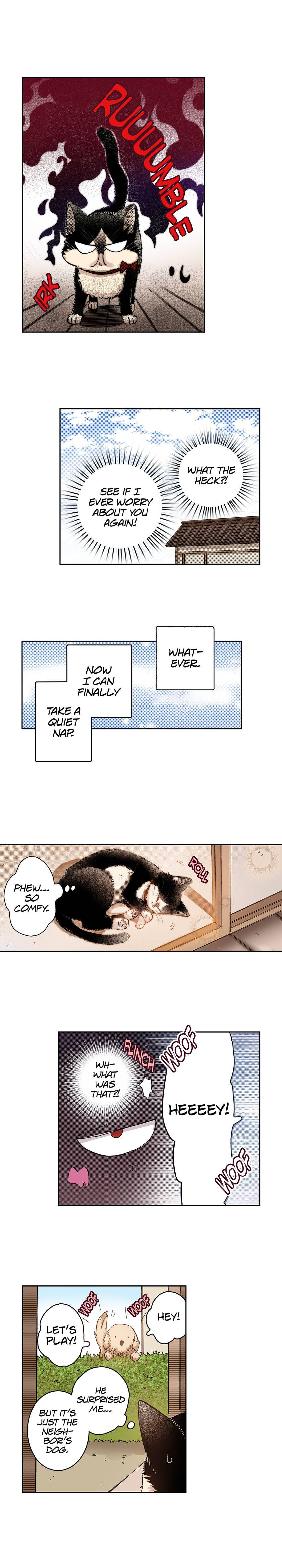 Read My Roommate is a Cat chapter 35 image 3 on Lezhin