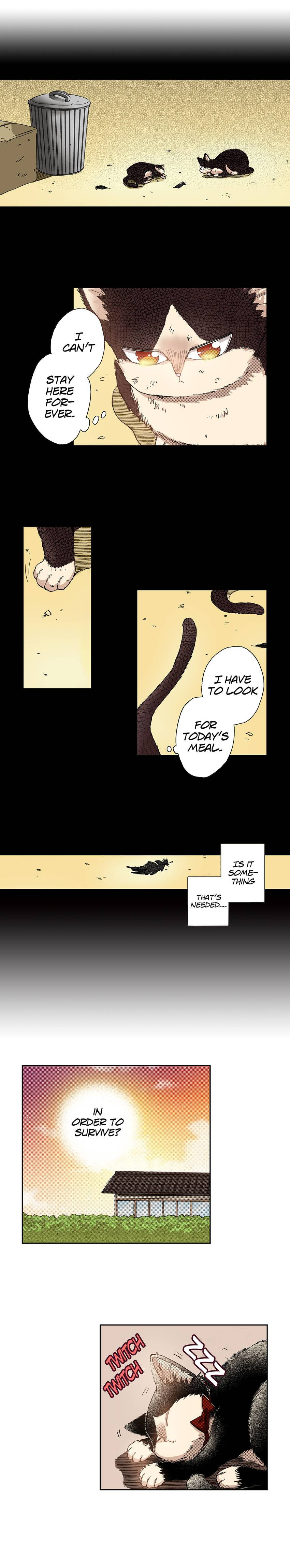 Read My Roommate is a Cat chapter 35 image 7 on Lezhin