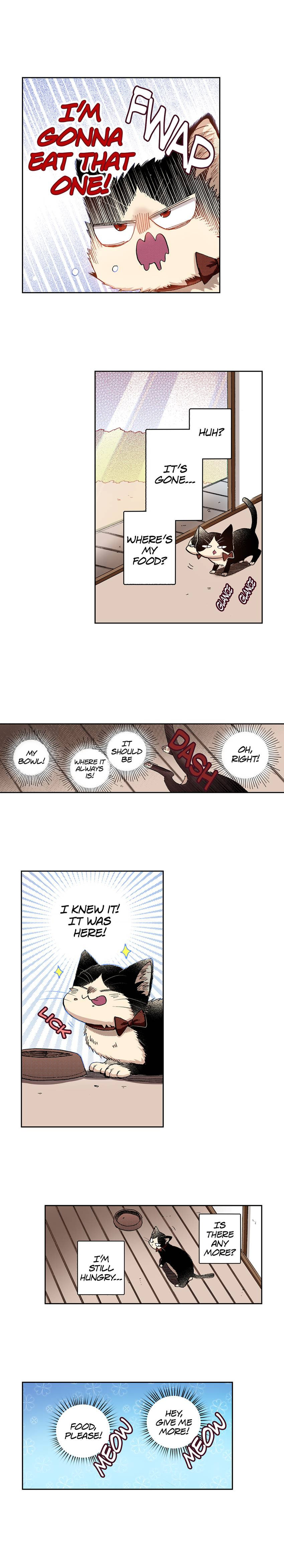 Read My Roommate is a Cat chapter 35 image 8 on Lezhin