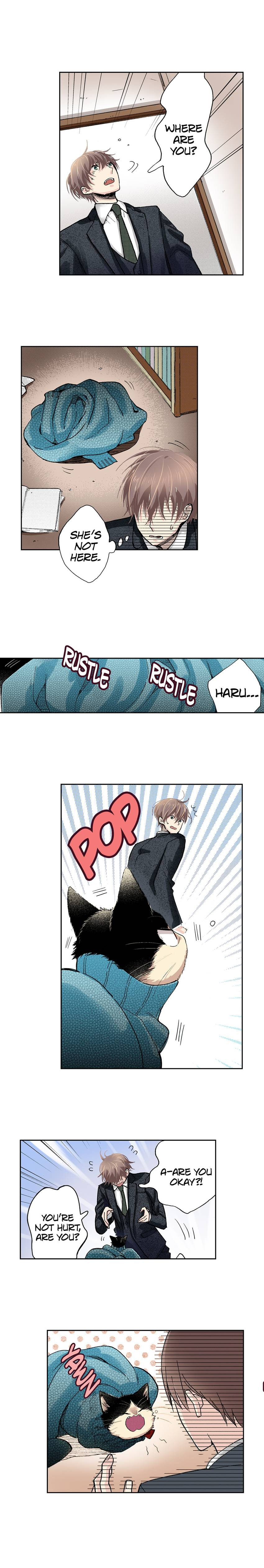 Read My Roommate is a Cat chapter 39 image 2 on Lezhin