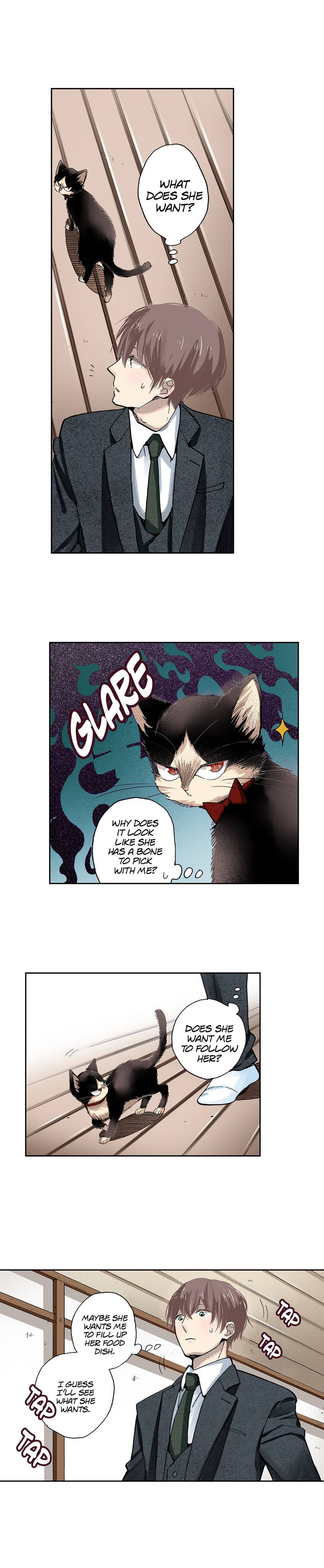 Read My Roommate is a Cat chapter 39 image 7 on Lezhin