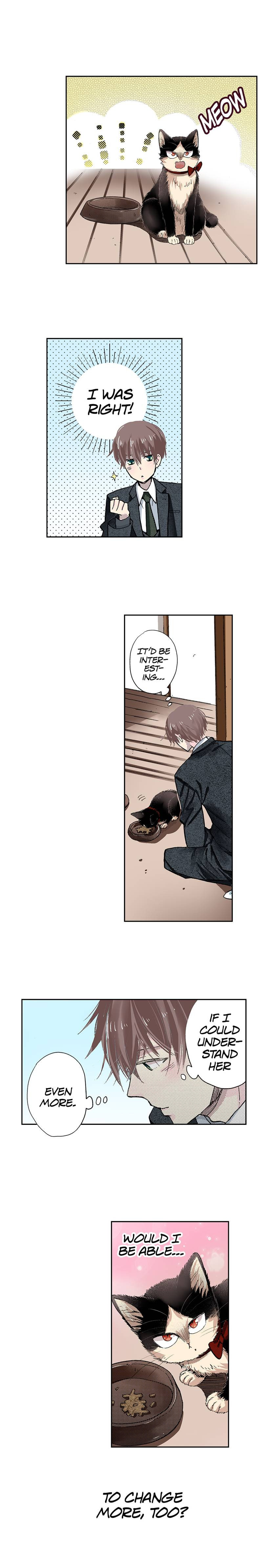Read My Roommate is a Cat chapter 39 image 8 on Lezhin