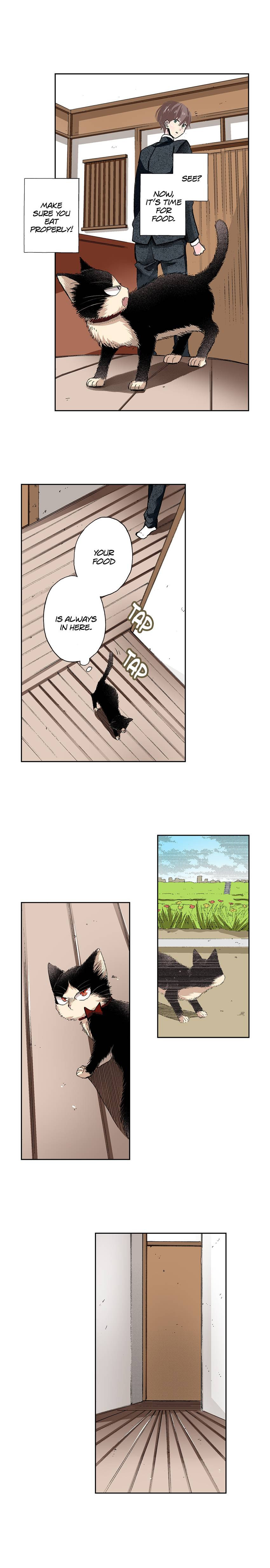 Read My Roommate is a Cat chapter 40 image 10 on Lezhin