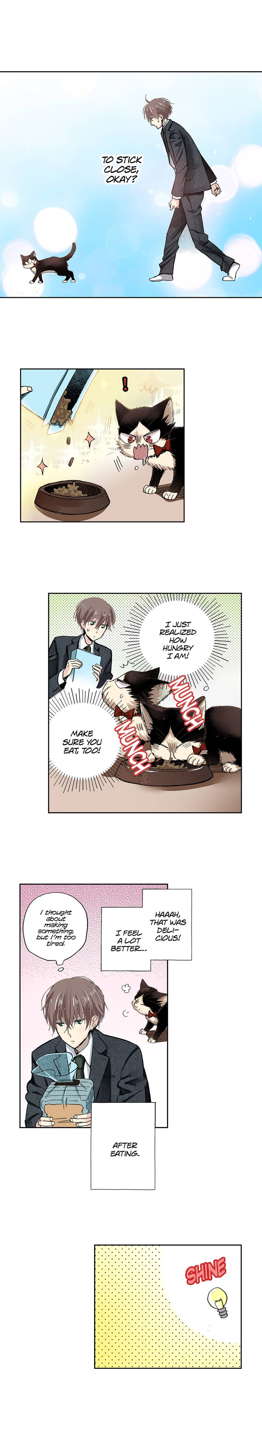 Read My Roommate is a Cat chapter 40 image 12 on Lezhin