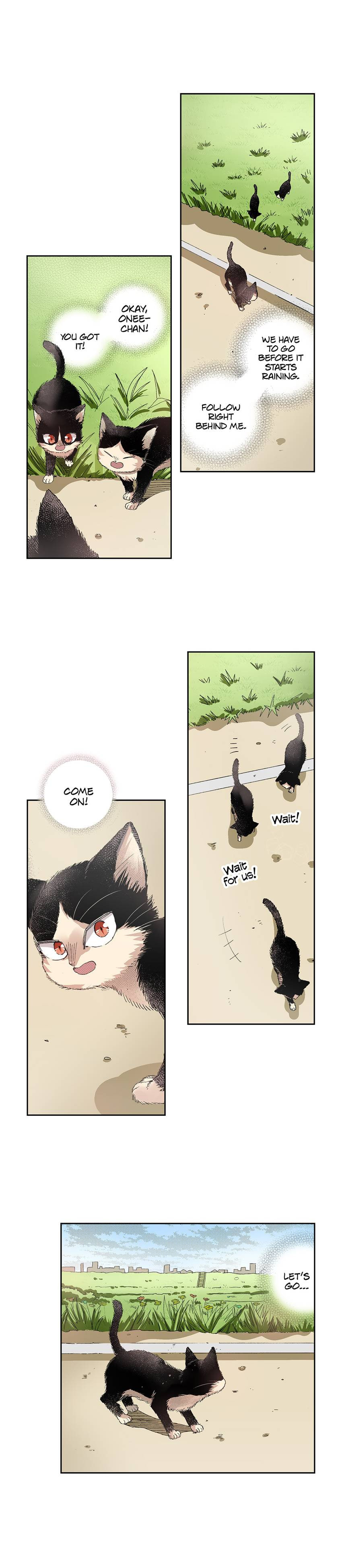 Read My Roommate is a Cat chapter 40 image 5 on Lezhin