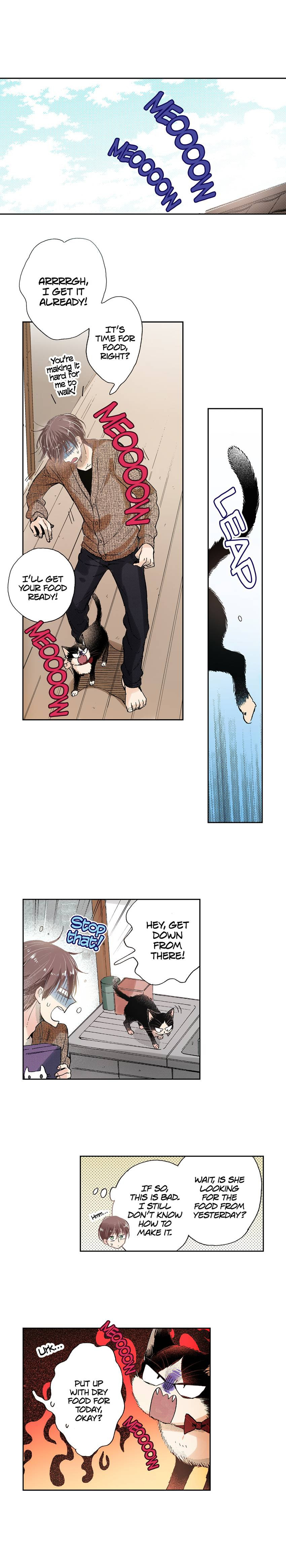 Read My Roommate is a Cat chapter 42 image 2 on Lezhin