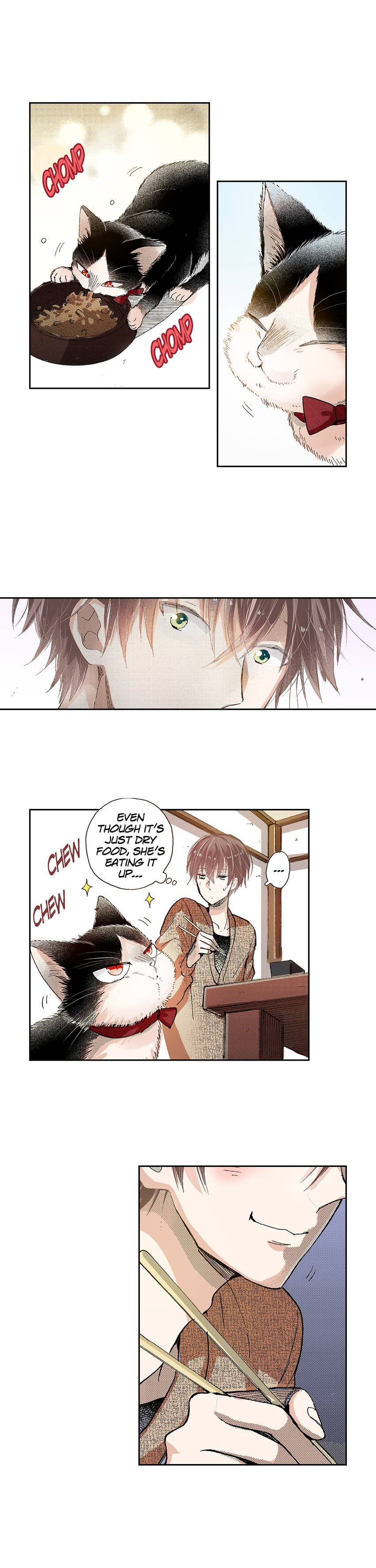 Read My Roommate is a Cat chapter 42 image 5 on Lezhin