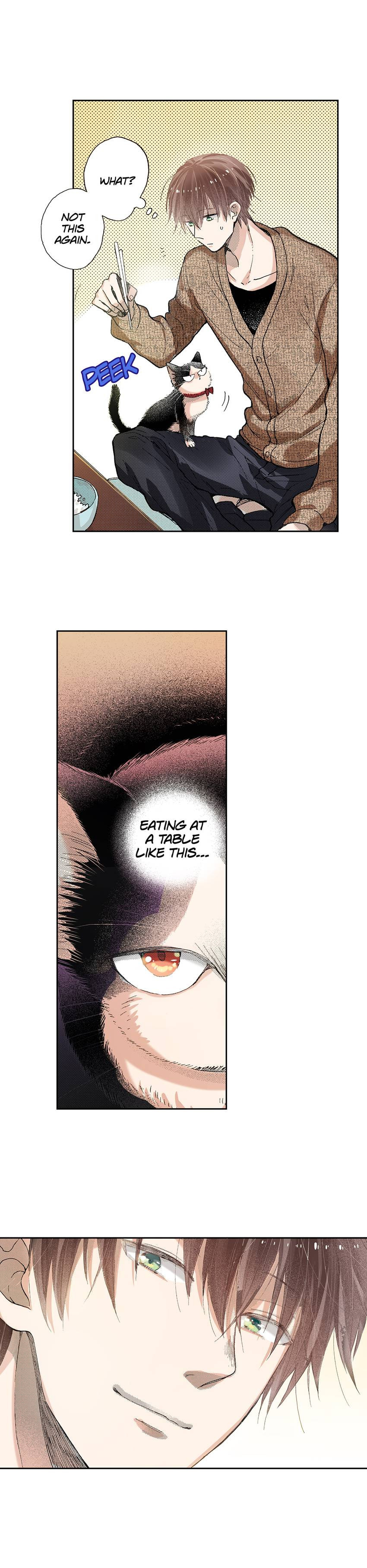 Read My Roommate is a Cat chapter 42 image 7 on Lezhin