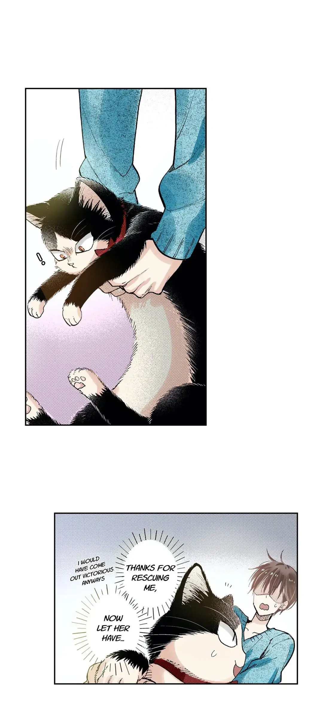 Read My Roommate is a Cat chapter 43 image 10 on Lezhin