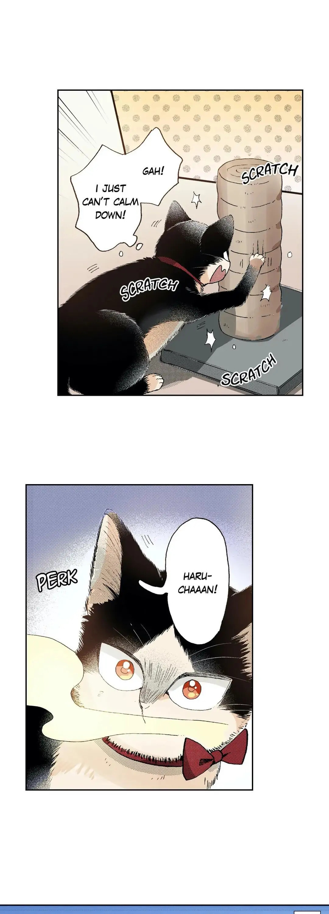 Read My Roommate is a Cat chapter 43 image 14 on Lezhin