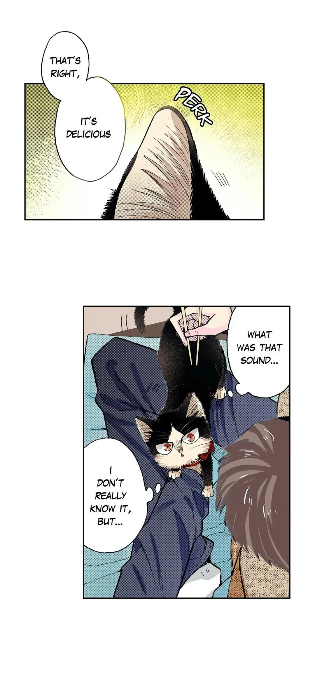 Read My Roommate is a Cat chapter 43 image 33 on Lezhin