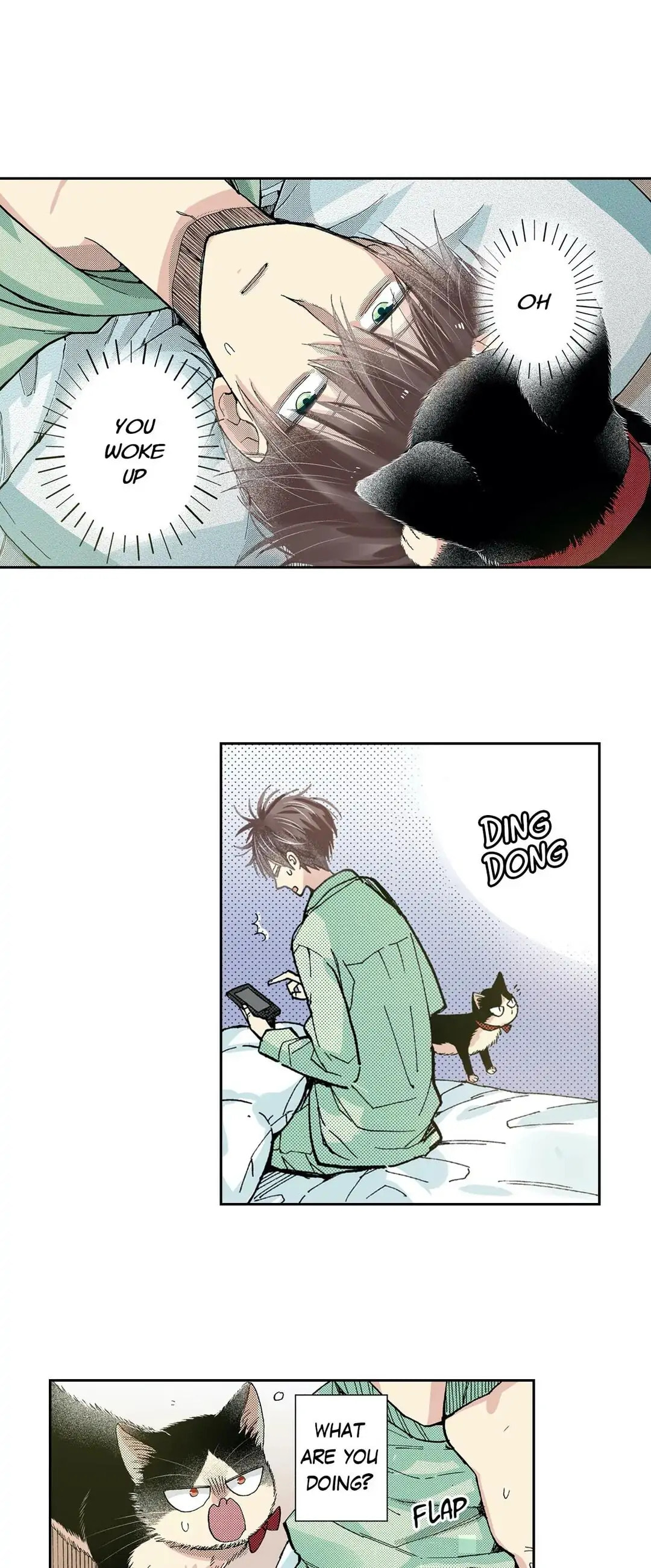 Read My Roommate is a Cat chapter 43 image 4 on Lezhin