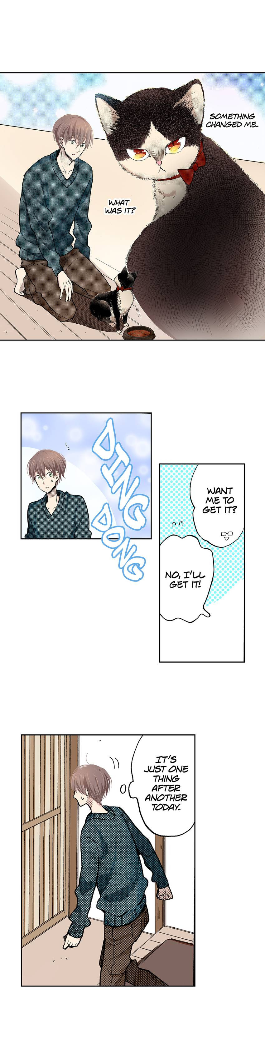 Read My Roommate is a Cat chapter 45 image 4 on Lezhin