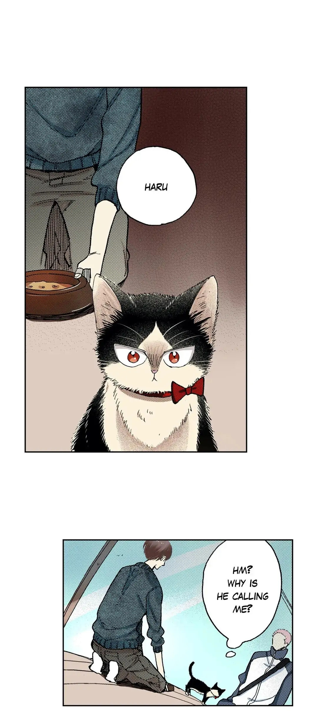 Read My Roommate is a Cat chapter 46 image 10 on Lezhin