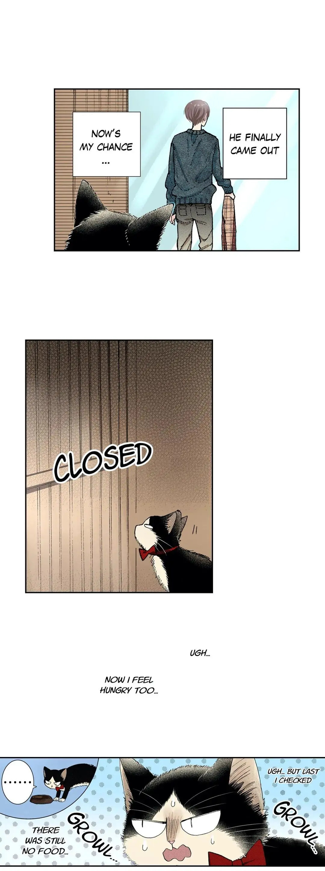 Read My Roommate is a Cat chapter 46 image 4 on Lezhin