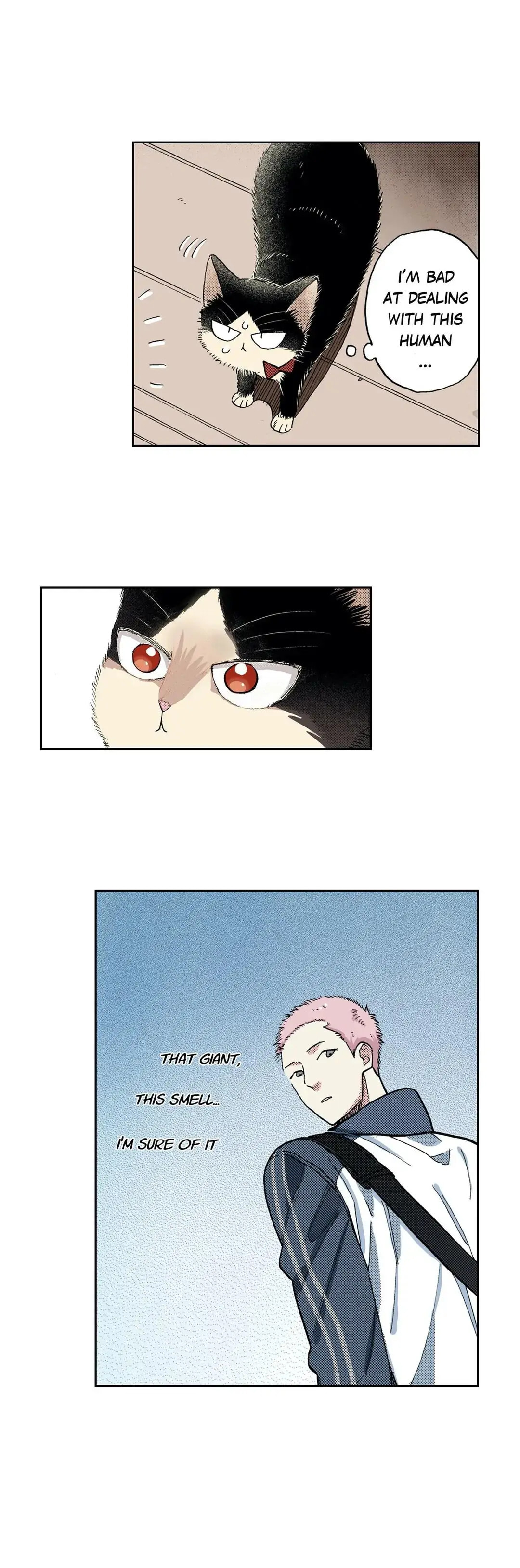 Read My Roommate is a Cat chapter 46 image 8 on Lezhin