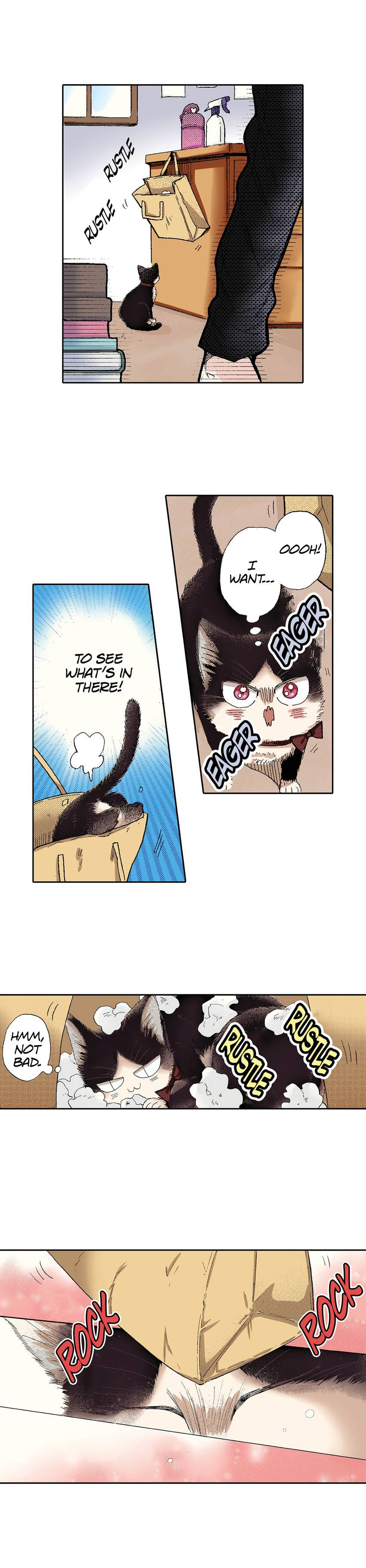 Read My Roommate is a Cat chapter 49 image 1 on Lezhin
