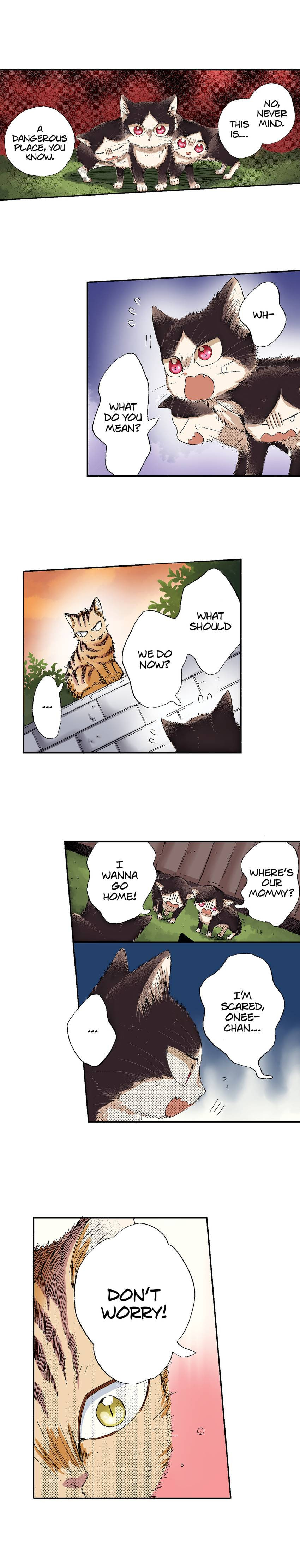 Read My Roommate is a Cat chapter 49 image 10 on Lezhin