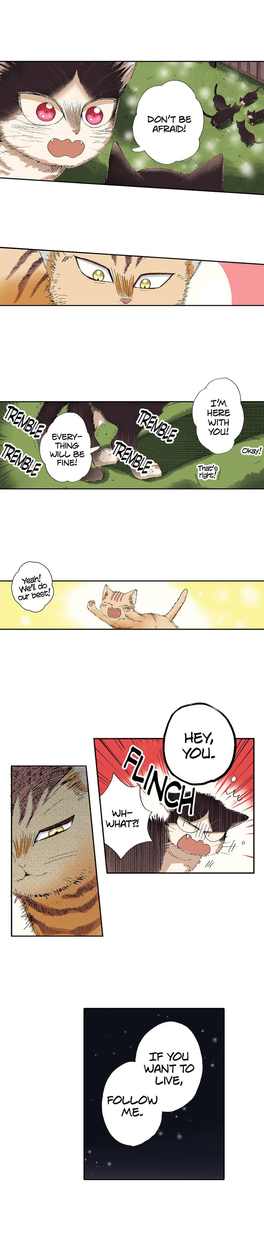 Read My Roommate is a Cat chapter 49 image 11 on Lezhin
