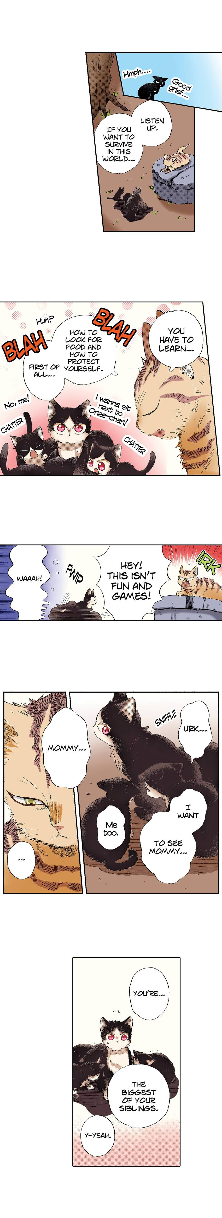 Read My Roommate is a Cat chapter 49 image 13 on Lezhin
