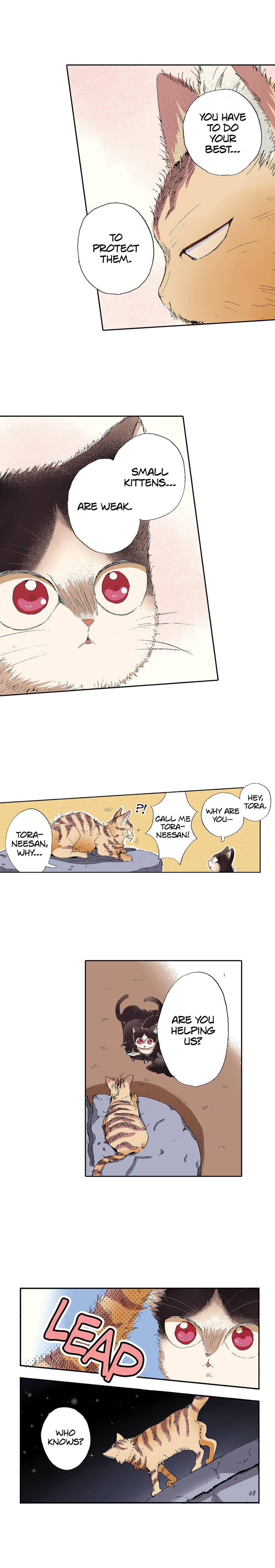 Read My Roommate is a Cat chapter 49 image 14 on Lezhin