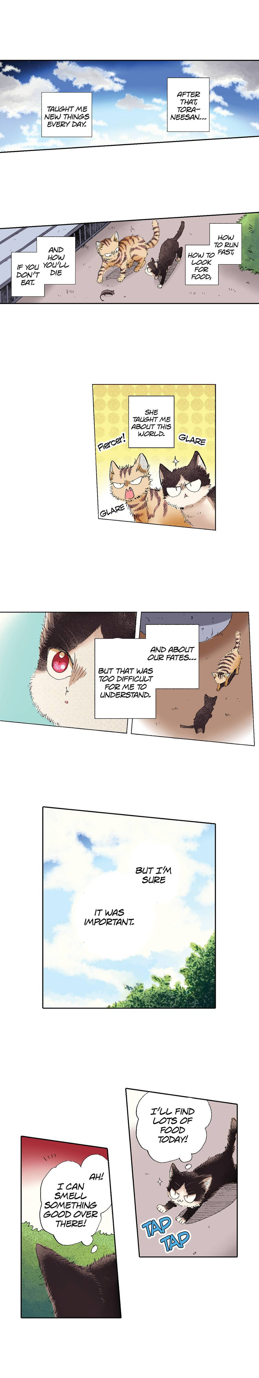Read My Roommate is a Cat chapter 49 image 15 on Lezhin