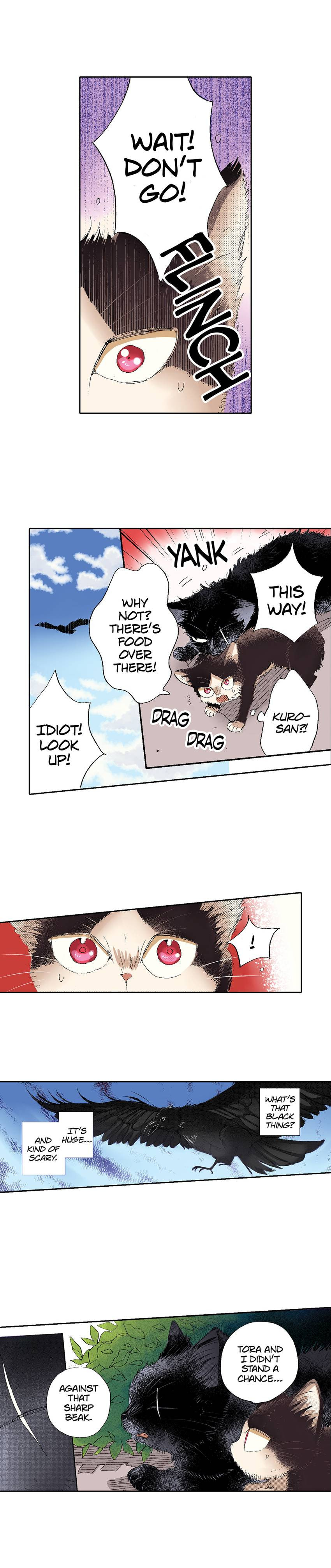 Read My Roommate is a Cat chapter 49 image 16 on Lezhin