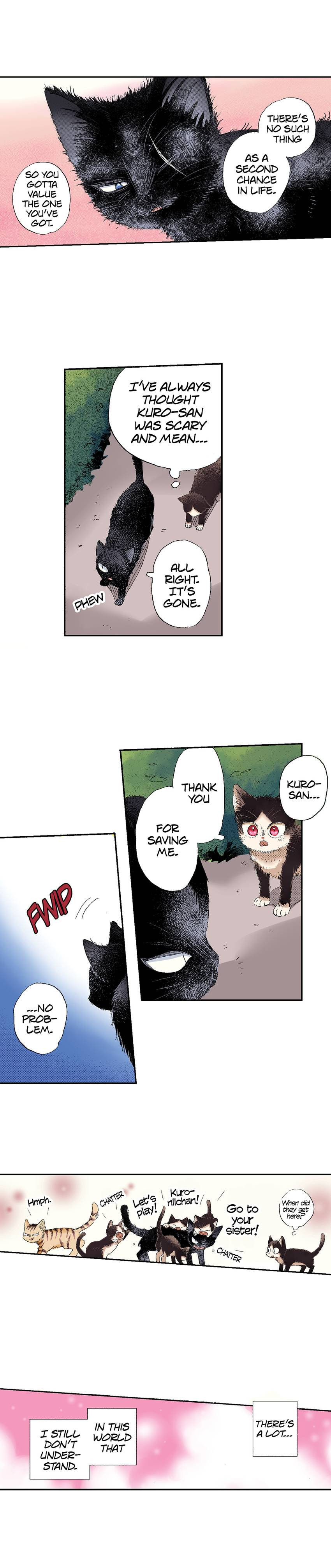 Read My Roommate is a Cat chapter 49 image 17 on Lezhin