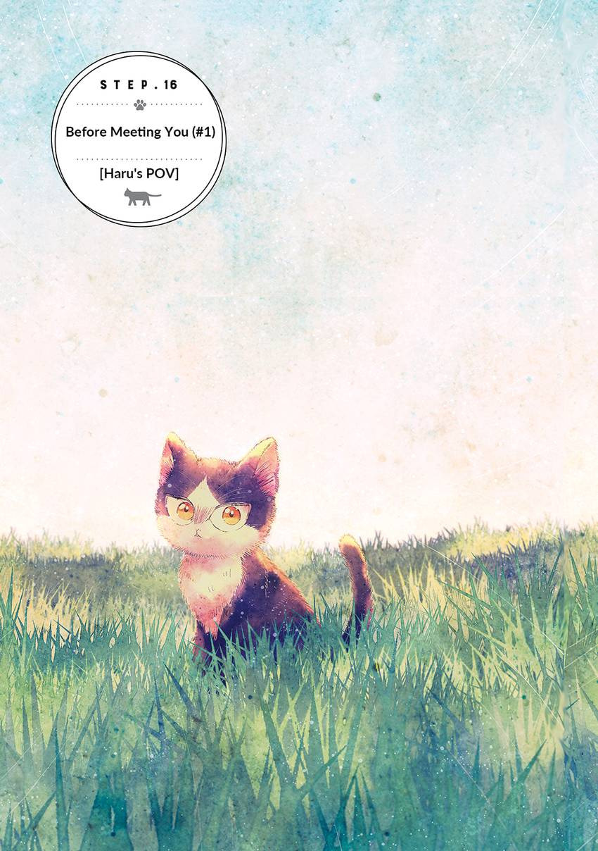 Read My Roommate is a Cat chapter 49 image 2 on Lezhin