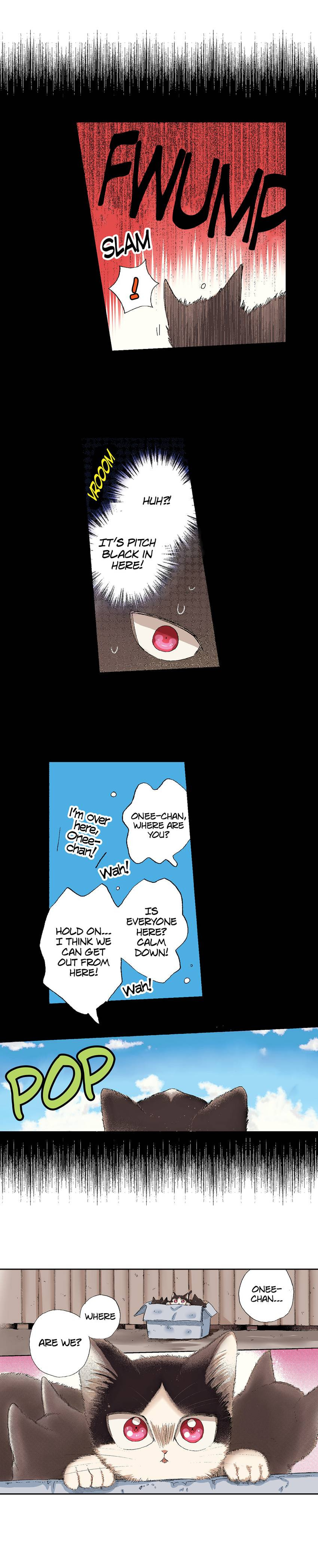 Read My Roommate is a Cat chapter 49 image 3 on Lezhin