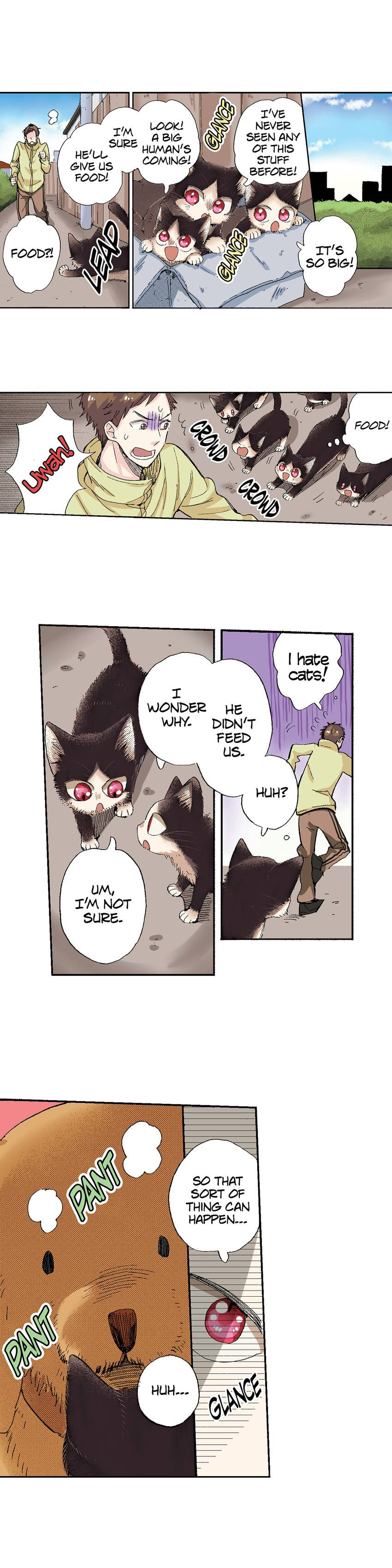 Read My Roommate is a Cat chapter 49 image 4 on Lezhin