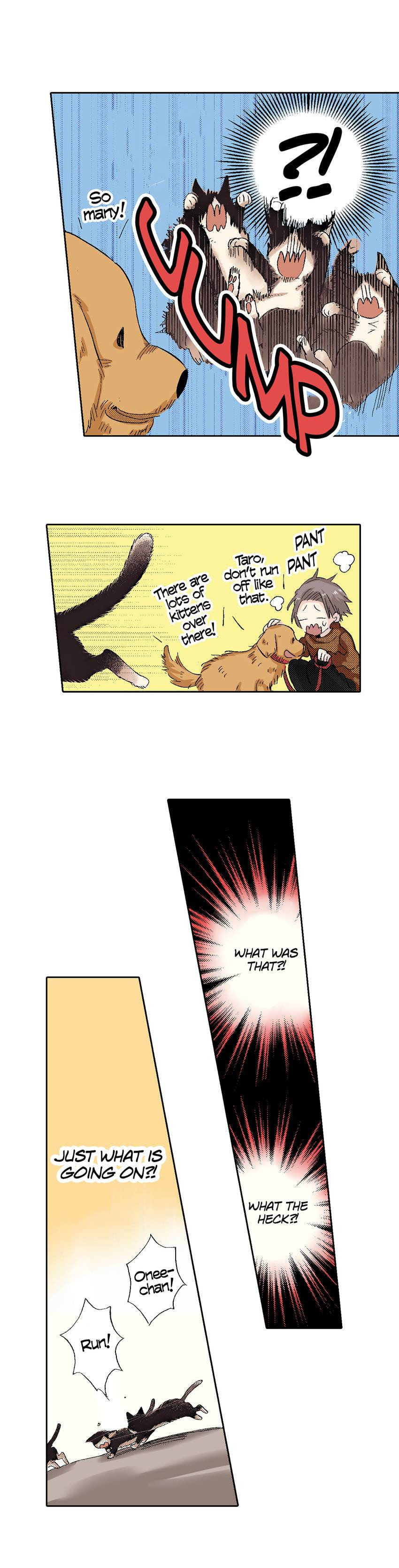 Read My Roommate is a Cat chapter 49 image 5 on Lezhin