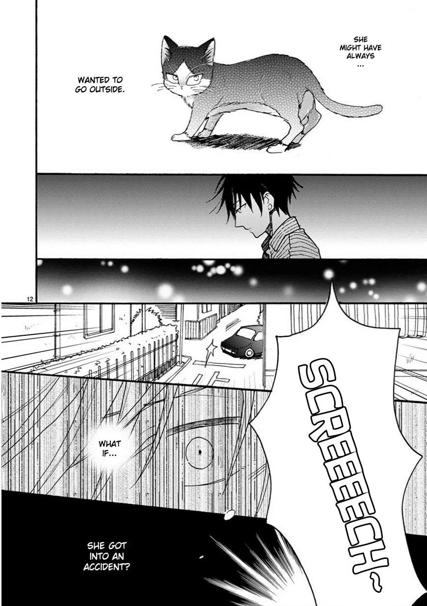 Read My Roommate is a Cat chapter 5 image 12 on Lezhin