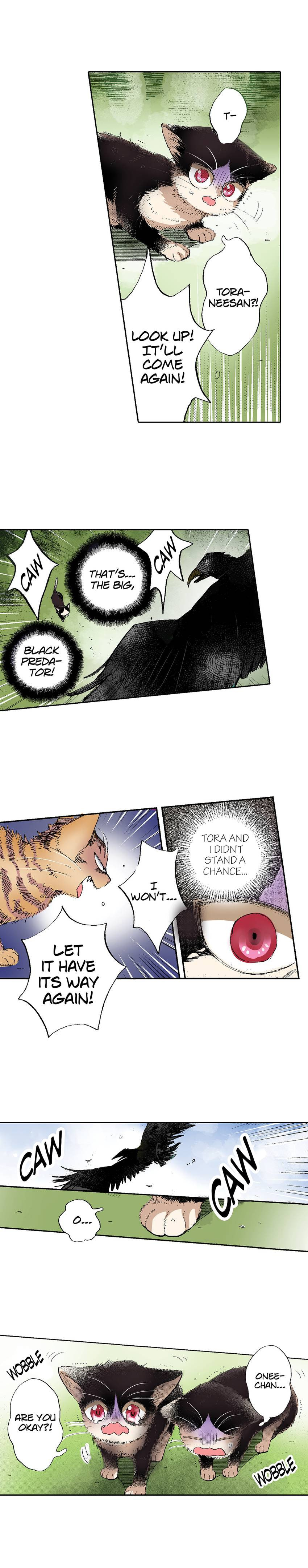 Read My Roommate is a Cat chapter 50 image 3 on Lezhin