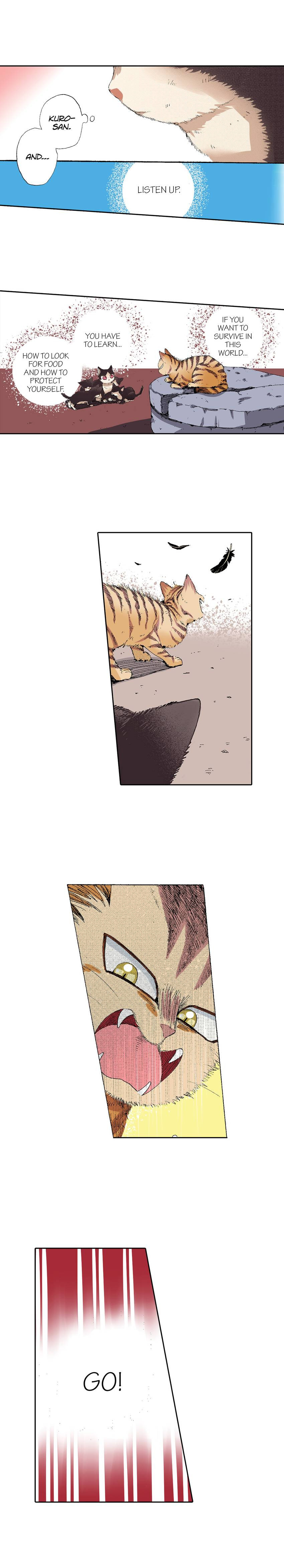 Read My Roommate is a Cat chapter 52 image 1 on Lezhin